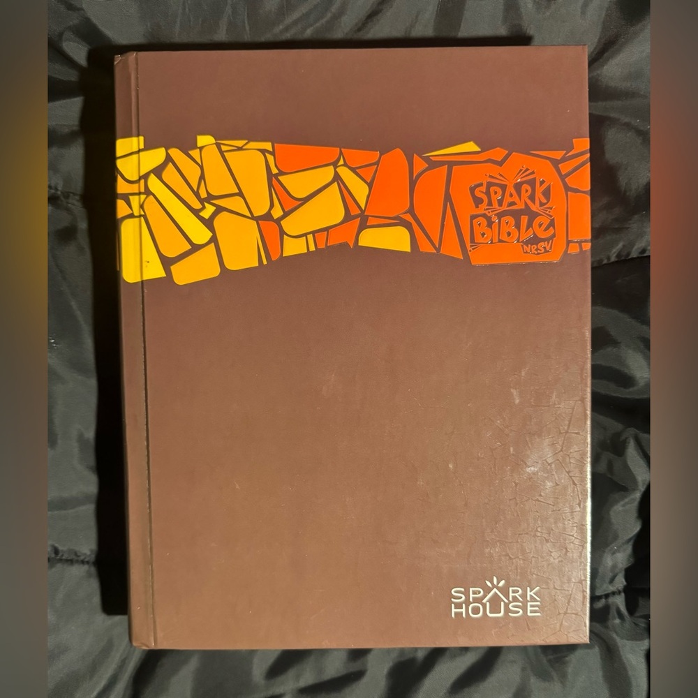 Spark House Bible NRST